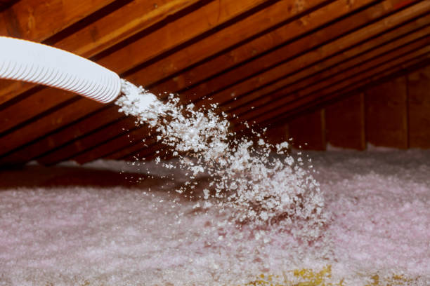 Best Types of Insulation in Oakdale, CA